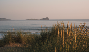 Gower Stories: PJ's Surf Shop