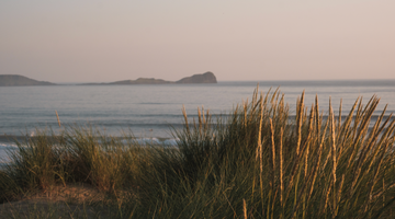 Gower Stories: PJ's Surf Shop