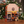 Load image into Gallery viewer, Gower Brewery gift set containing a bottle of Lighthouse Lager, Gower Gold and Gower Power beers in a branded carry box
