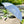Load image into Gallery viewer, A stylish grey walking umbrella with the Gower Brewery logo printed on it, standing upright on a rocky beach surface for display
